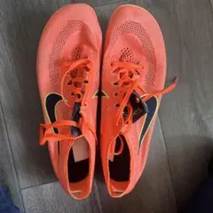 Item thumbnail for item 530efd71-9680-4a88-99d0-204bd15f1025