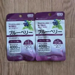 ブルーベリー サプリメント 2袋 日本製