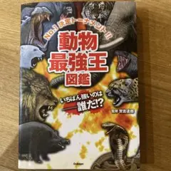 動物最強王図鑑