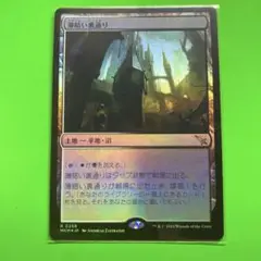 匿名配送　MTG 薄暗い裏通り　日本語　foil 諜報ランド