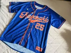 Item thumbnail for item 584c84f1-7f8c-4e64-9ec8-4aba5724ba4d