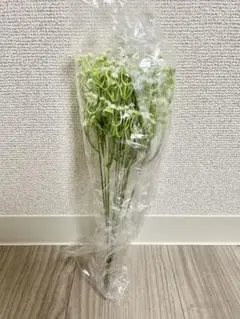 Item thumbnail for item 7038602b-3ee9-47fb-aecf-af7af9fde79b