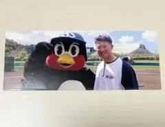西川遥輝 つば九郎 せるふぱちり