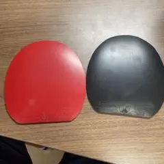 ディグニクス09C 赤 特厚 1枚