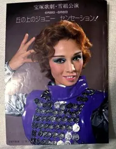 丘の上のジョニー・センセーション！ パンフレット②