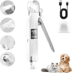 Item thumbnail for item 4093f439-ba72-4319-8568-a702e30e34a1