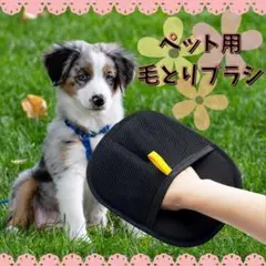 Item thumbnail for item 919d4f42-0709-4c95-bdcf-d9d74da86281