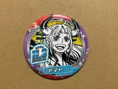 ワンピース ヤマト バースデイ缶バッジ