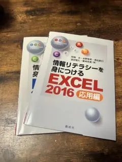 情報リテラシーを身につける EXCEL2016 基礎編 応用編