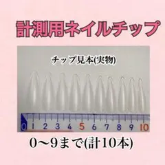 計測用ネイルチップ