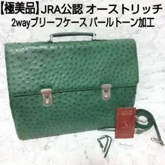 【極美品】JRA公認 2wayブリーフケース パールトーン加工 オーストリッチ