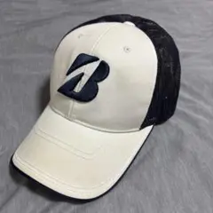 Item thumbnail for item 616a4183-312d-4131-9d8a-ec731af02949