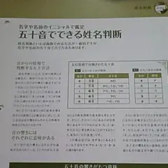 Item thumbnail for item 43da2049-63a9-4eef-9fc4-f4c8da932533