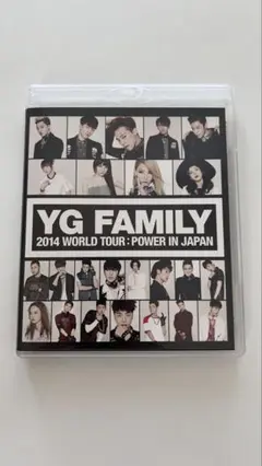 YG FAMILY 2014 WORLD TOUR：POWER IN JAPAN