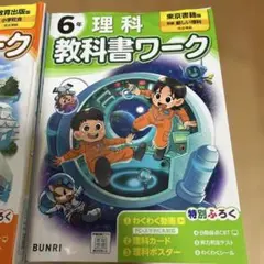 6年 教科書ワーク 社会理科 2冊セット　未記入