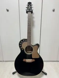 2025年最新】タカミネ TDP512の人気アイテム - メルカリ