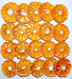 Item thumbnail for item 07f95432-4e4e-4739-8258-3418001038a6