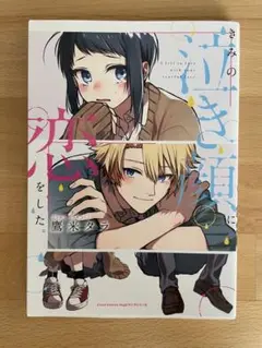 きみの泣き顔に恋をした。