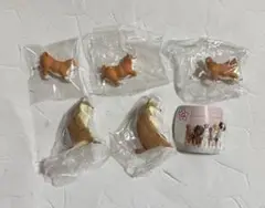いっしょにねんね ぞうきんがけ当番 ガチャガチャ犬 豆柴 柴犬