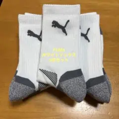 Item thumbnail for item f61b83a7-ca9b-48f0-b84a-7dea760ccf94