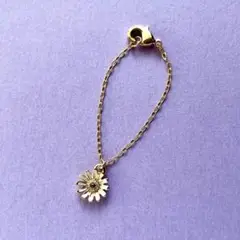 Item thumbnail for item 54551690-0ca4-4437-a43d-31a259d99a21