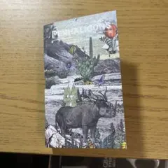 ペンハリガン ポートレート テリブルテディ