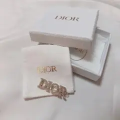Dior ロゴ ヘアピン ヘアアクセ