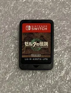 ゼルダの伝説 ティアーズ オブ ザ キングダム　switch