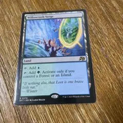 ⭐︎MTG爆買キング⭐︎　ウィローラッシュの境界　英語