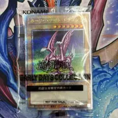 ホーリーナイト・ドラゴン　25thシク 未開封