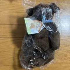 うちのハル君です　ぬいぐるみ　チョコラブ