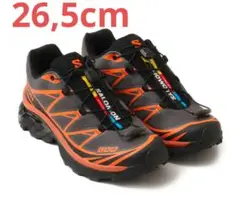 SALOMON XT-6　鯉　26.5