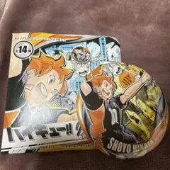 ハイキュー!! コレクション缶バッジ memories 第3弾 日向翔陽