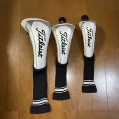 Item thumbnail for item 8fc53d37-55fb-4579-b298-8710ce6250ac