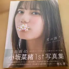 小坂菜緒 1st 写真集