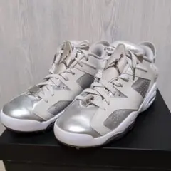 エアジョーダン6ローゴルフシューズ