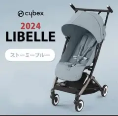 Item thumbnail for item 26b294d2-b035-4a80-a570-24b0ead8b97b