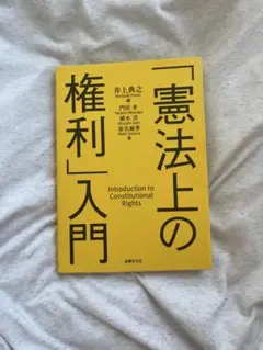 憲法上の権利入門