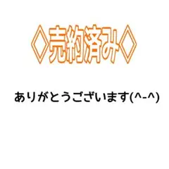 UCHIDA Triple3 Pro MODEL ウチダ トリプル プロモデル