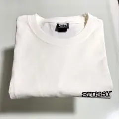 【未使用品】stussy /JUMBO TEE PIGMENT DYED