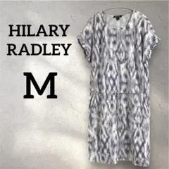 Item thumbnail for item 739089b6-cc43-4161-bdaf-b46365e26758