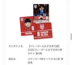 バレーボール女子日本代表 ステッカー3枚セット 8 小島満菜美