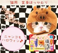 Item thumbnail for item 57dd1527-2880-4528-a4d9-6a0f448d6574