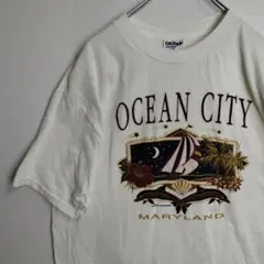 ギルダン 半袖シャツ Tシャツ ホワイト コットンシャツ メンズXL