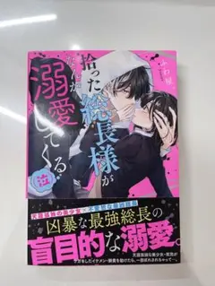 捨てた総長様がなんか溺愛してくる