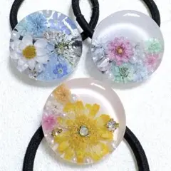 ②⑦レジンヘアゴム。3個セット。マトリカリア。スターフラワー。勿忘草。花かんざし