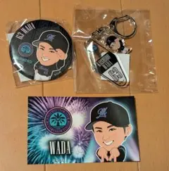 千葉ロッテマリーンズBSW和田康士朗セット