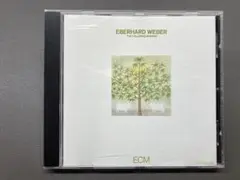 Eberhard Weber / The Following Morning
