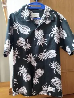 Item thumbnail for item b3dba311-1011-4cae-b632-3b402b9b5071