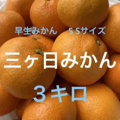 三ヶ日みかん 3キロ